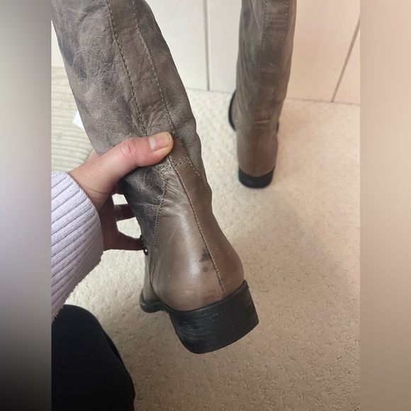 Pour La Victoria Myles. Grey extreme graze. - Picture 6 of 6